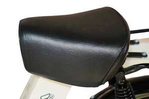 Vélo électrique hybride Waya Zulu 350 d'Indian Power avec cadre en métal pour les cyclistes unisexes par le principal fournisseur de vélos électriques - Product Image 4