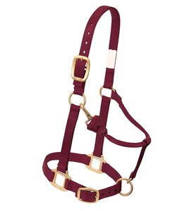 Accesorios de Lujo para Caballos de Alto Rendimiento, Silla Inglesa, Cabestros de Nailon, Brida para Caballos, Lotus G Lobal Endurance Racing - Product Image 3