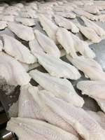 FILET DE PANGASIUS CONGELÉ DE MEILLEURE VENTE // VIANDE BLANCHE FRAÎCHE DU FOURNISSEUR VIETNAMIEN