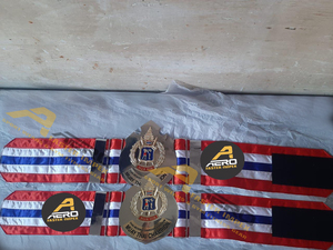 Ceinture de championnat du monde de Muay Thai personnalisable en cuir de vachette avec boucle en alliage, logo personnalisé, épaisseur de 4 cm, couleur personnalisée, similaire - Product Image 5