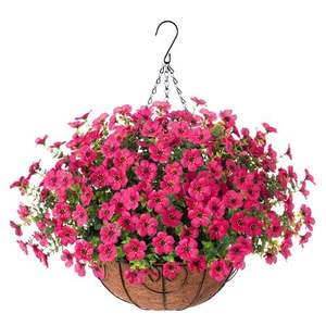 Jardinière suspendue professionnelle en fer pour l'intérieur faite à la main Jardinières de plantes succulentes en métal pour l'extérieur Pots de fleurs bon marché pour plantes - Product Image 6