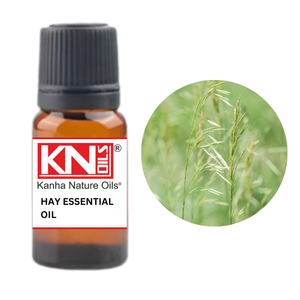 Kanha Nature Huiles Premium Qualité Huile Essentielle Pure Racine Fabricant Indien Soins de Santé Huile Essentielle de Foin Vente en Gros En Vrac - Product Image 1