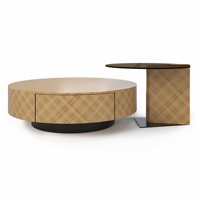 Table basse moderne italienne multicolore en bois brun bronze et or avec rangement pour salon