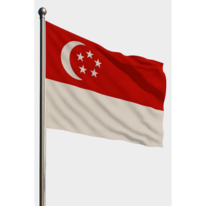 Drapeau extérieur personnalisé de Singapour, numérique, divers matériaux (satin, nylon, plastique, polyester, vinyle, soie, automobile, assurance, aluminium) - Product Image 1