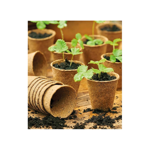 2024 DESIGN MEILLEURE QUALITÉ POT DE COIR VIETNAMIEN FLEUR FIBRE DE NOIX DE COCO DE BLEU LOTUS FARM 2023 - Product Image 4
