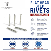 TianFang Rivet à étage tête plate, fabrication OEM, solution rivet unique, support technique d'usine.