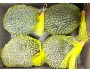 Durian congelé avec coupe de pulpe jaune et durian congelé congelé emballé pour les magasins de smoothie et l'utilisation de desserts glacés - Product Image 3