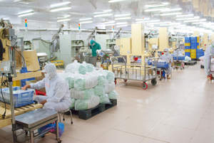 Limón fresco sin semillas, Lima, Vietnam, venta al por mayor, suministro constante - Product Image 4