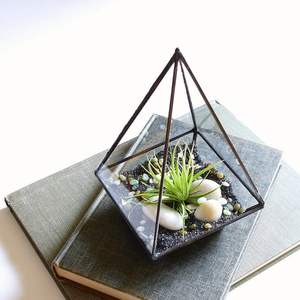 Beau terrarium en métal et en verre fait à la main pour la décoration de table de jardin de maison moderne affichage de plantes d'intérieur et d'extérieur - Product Image 1