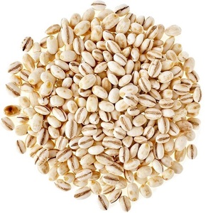 Disponible Cebada de Alta Montaña Congelada de Buena Calidad, Arroz de Malta de Tailandia - Product Image 3