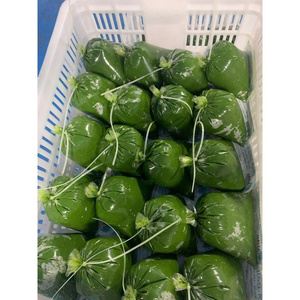 ใบมันสำปะหลังแช่แข็งส่งออกราคาที่ดีที่สุดวัตถุดิบสดใหม่ได้รับการรับรองเกรดอาหารและมีคุณภาพที่สม่ำเสมอ - Product Image 1