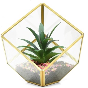 Terrario de cristal para decoración de fiestas de boda para sala de estar o comedor, artículo de decoración, Terrario de cristal de estilo único - Product Image 2