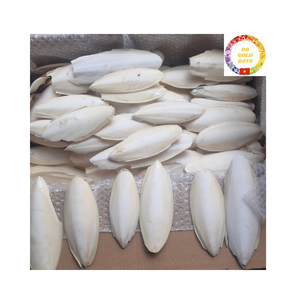 Os de seiche naturel de haute qualité du Vietnam pour les soins du bec d'oiseau et la nutrition en calcium pour animaux de compagnie - Product Image 3