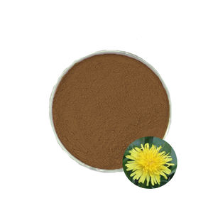 純粋なタンポポ根エキスフラボノイド豊富な粉末有機タンポポ根エキス粉末 - Product Image 3