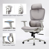 Fauteuil de Bureau Ergonomique en Maille Pivotant à Hauteur Réglable avec Accoudoirs Relevables pour Salles de Conférence, Réunion et Gaming