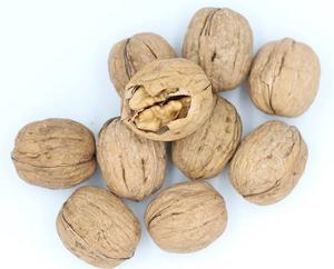 Nueces Frescas Premium de Alta Calidad, Crudas, Duras y Saladas con Cáscara en Bolsa - Suministro a Granel de Fábrica Nutritivo - Product Image 1