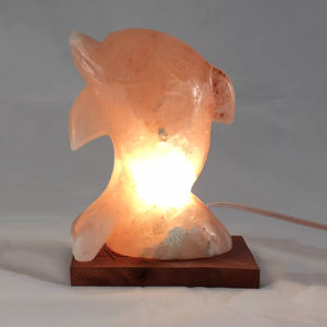 100% pur Original sel de l'Himalaya incurvé à la main Mini USB lampe de nuit conception de poisson lampe de sel naturel pour la décoration de la maison et du bureau - Product Image 5