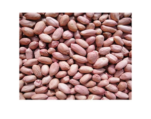 Semillas de proteína de cacahuete de alta nutrición Jumbo cacahuetes crudos a la venta - Product Image 3