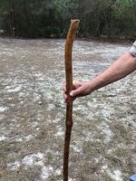 Bastone da Passeggio in Legno Naturale di Alta Qualità per Anziani con Impugnatura Multiforme e Terapia di Riabilitazione