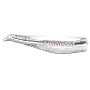 Pince d'extraction de qualité supérieure #150 Instruments dentaires en acier inoxydable pour incisive supérieure et outils chirurgicaux d'extraction de dents canines - Product Image 4