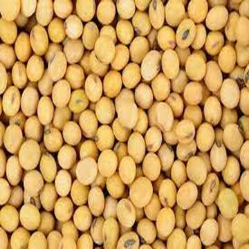 Соевые бобы, Органическая соя, новейший высококачественный новый урожай