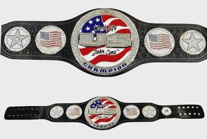 Cinturón conmemorativo del título del campeonato femenino Envío rápido Cinturones WWE Tamaño adulto Hasta 46 "Wrestling Gold Coated Ronpex - Product Image 3