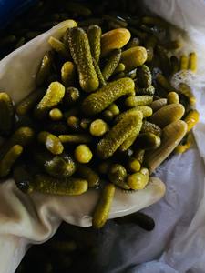 Concombre mariné du Vietnam, concombre tranché croquant, approvisionnement en vrac, idéal pour les services de restauration et les distributeurs - Product Image 2