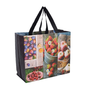 Logo taille personnalisable réutilisable BOPP laminé gravure impression PP tissé sac à fermeture éclair étanche à l'humidité CENTIC CT-PPB009 Vietnam - Product Image 1