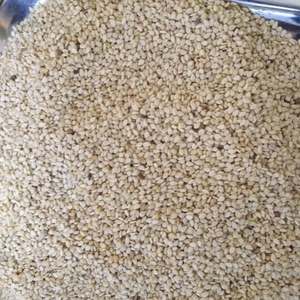Semillas de Sésamo Sin Cáscara, No Transgénicas, de Grado Alimenticio, para Snacks Saludables y Producción de Aceite - Product Image 6