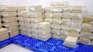 เม็ดมะม่วงหิมพานต์ sp/lp/W180 W240 W320คุณภาพพรีเมี่ยมส่งตรงจากโรงงาน - Product Image 4