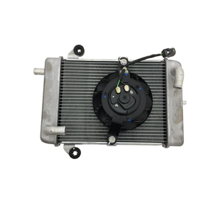 Radiatore Originale Nuovo con Ventola per Honda SH 300, Modelli dal 2015 al 2020, 19100-K53-D01 - Product Image 1