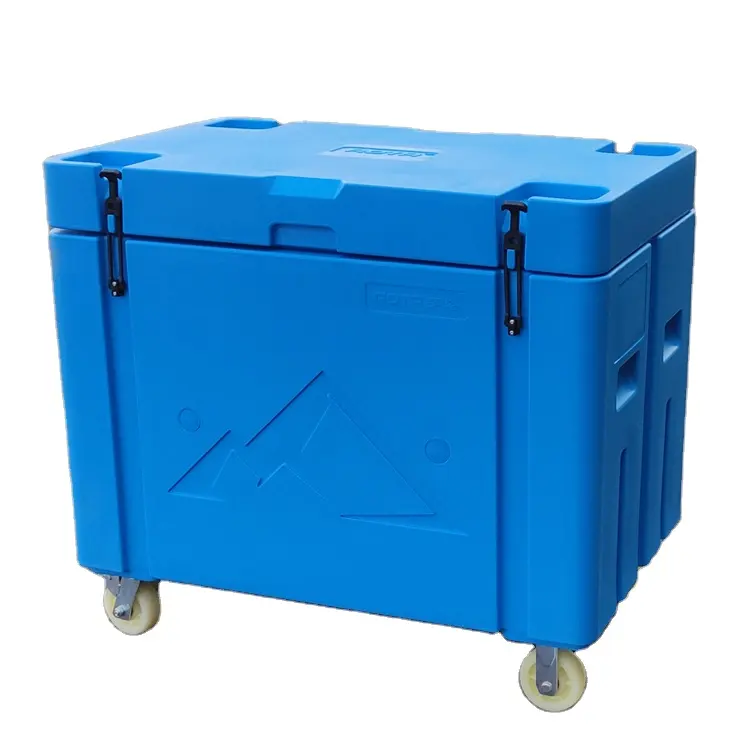 Insulated freezer storage container box/ storage dry ice/Dry Ice Cold Storage transport Cooler Box