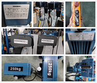 Palans électriques à chaîne de type chariot fixe de style européen 0,5t 1t 2t à vendre