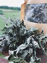 ฉลากชาสมุนไพรที่สะอาดใบ mugwort แห้งสำหรับวิถีชีวิตมังสวิรัติ - Product Image 5