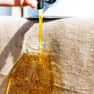 Large Stock Premium Grade 100% Organic Refined Canola <b>Oil</b> (Fractionated) in Bulk <b>for</b> Professional <b>Kitchens</b> & Packaging Units - Product Image 3