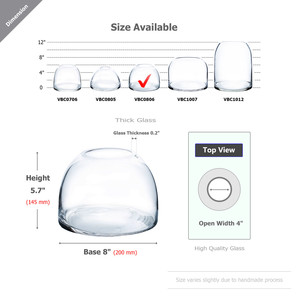 Vase en verre courbé WGV International VBC0806 - Design contemporain fait main, transparent, hauteur 5,7 cm, diamètre 200 mm - Product Image 3