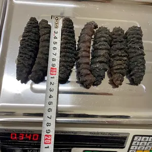 HOT SALE DRIED BLACK THORNS SEA CUCUMBER Dried Fish Dry SeaFood (+84 961066080 Ms Heidi)