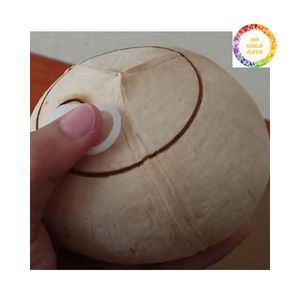 Vietnam Natural Sweet <b>Coconut</b> - Pull Tab Hydration - Product Image 1