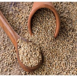 Hot Sale Hulled <strong>Buckwheat</strong> <strong>Kernel</strong> For Sale - Product Image 2
