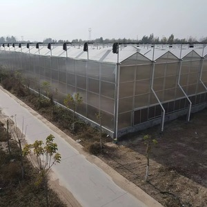 Invernadero de Policarbonato Venlo Confiable para Cultivo de Plantas Medicinales con Control Preciso de Olores y Sincronización Climática - Product Image 3