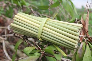 Bon pour votre vie santé! Pailles écologiques à boire au Vietnam avec des matériaux 100% naturels d'Eco2go Vietnam - Product Image 3