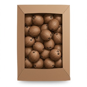 มะพร้าวสดใหม่สำหรับฟาร์มเพื่อการส่งออกที่มีคุณภาพเหมาะสำหรับกลุ่มค้าปลีกโซ่อาหารและผู้จัดจำหน่าย - Product Image 2