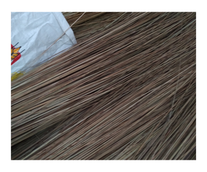 PALMA DE ESCOBA Y PALMERA DE COCO AL MEJOR PRECIO LISTO PARA EXPORTAR DESDE VIETNAM - Product Image 1