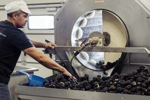 90g ô liu và hạnh nhân dán với Truffle aestivum vitt chất lượng thủ công Made in Italy thuần chay chay Halal - Product Image 4