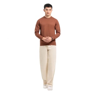 2025 venta al por mayor logotipo personalizado liso multicolor nueva moda sudaderas con capucha de manga larga cuello redondo sudadera Lisa para hombre - Product Image 2