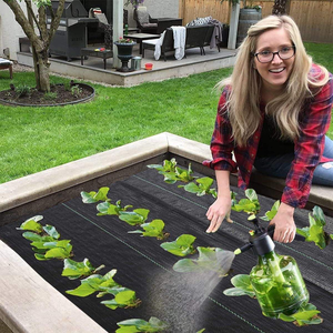 Nhà Máy Sân Vườn Nông Nghiệp Đấm Lỗ Kiểm Soát Cỏ Dại Chống Hàng Rào Cỏ <span class=keywords><strong>HDPE</strong></span> PP Dệt Vải Che Mặt Đất Cảnh Quan Vải Mat - Product Image 2