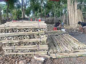 Postes de Bambú Resistentes y Ecológicos Diseñados para Jardinería Profesional, Agricultura y Uso Agrícola a Gran Escala - Product Image 2