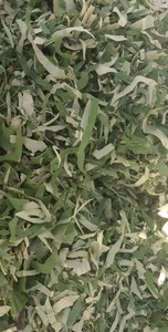 FEUILLE DE LOTUS SÉCHÉES DE HAUTE QUALITÉ 100% EMBALLAGE NATUREL DANS UN SAC DE LA FERME DE LOTUS BLEUE VIETNAM 2025 PRIX BON MARCHÉ - Product Image 4