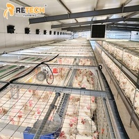 Équipement de cage d'élevage au sol de type H automatique pour 10 000 poulets de chair en élevage en Indonésie