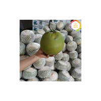 Premium Vietnam Vers Kokosnoot Natuurlijk Tropisch Fruit Voor Culinair Gebruik Sapdranken En Internationale Groothandel Exportaanbod